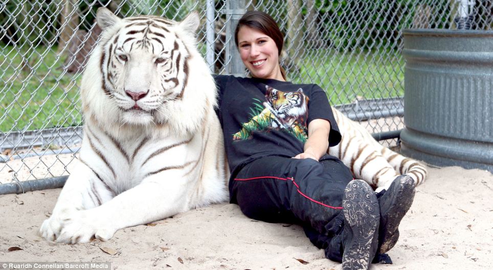 woman-raises-2-grown-tigers-at-home-5.jpg
